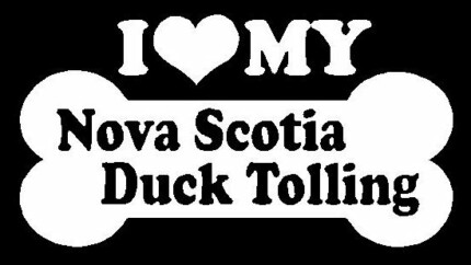 I Love My Nova Scotia Duck Tolling