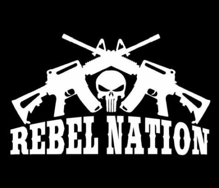 rebel nation die cut decal