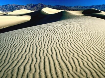 Sand and Deserts Vinyl Wall Graphics 49