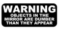 WARNING Objects in Mirrir Dumber