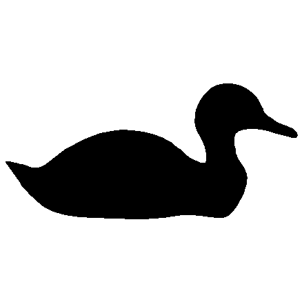 Decoy Duck Decal
