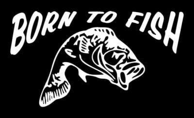 Born to Fish Vinyl Fishing Decal