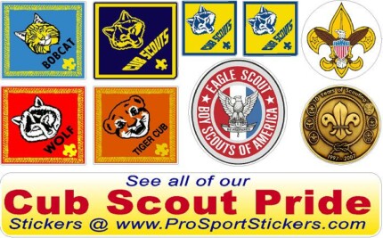 boy scout PINEWOOD DERBY decal pack 1