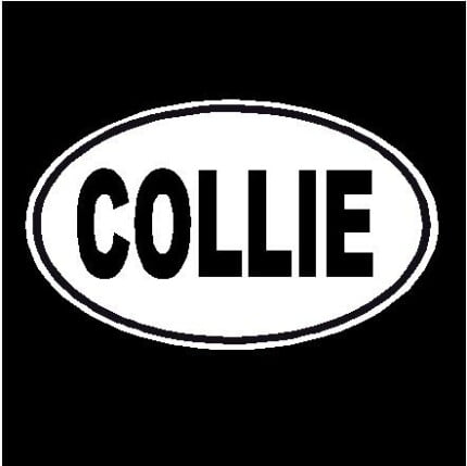 Collie Dog Oval Decal