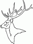 Deer Decal 02