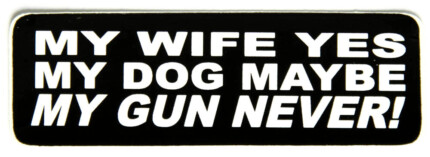 Gun Control Bumper Stickers 4