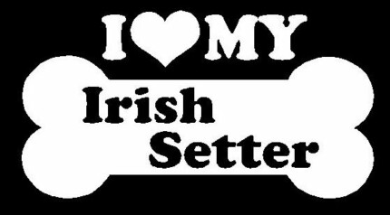 I Love My Irish Setter