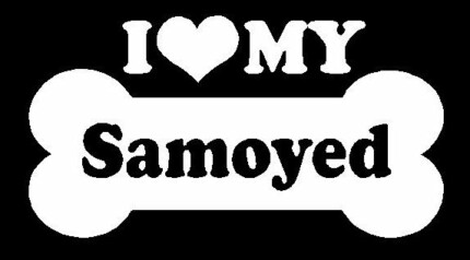 I Love My Samoyed