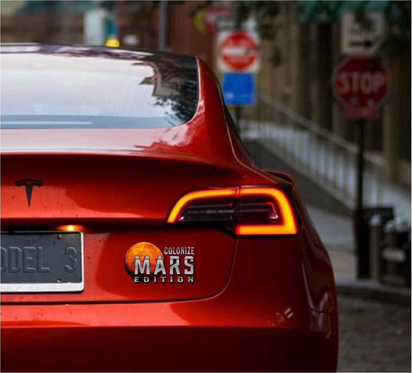 Elon Musk Edition decal & sticker for your Tesla