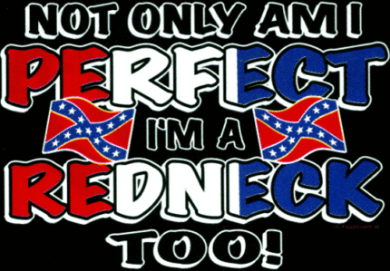 perfect redneck confederate flag sticker