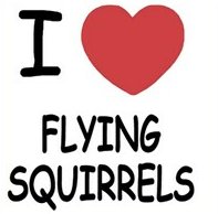 R&R I  LOVE FLYING SQUIRRELS STICKER