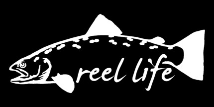 river life fishing decal - Pro Sport Stickers