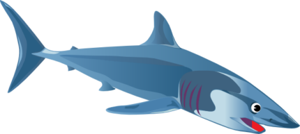 shark color fish sticker
