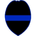 Thin Blue Line Police Badge Logo Decal
