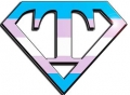 trans pride shield sticker