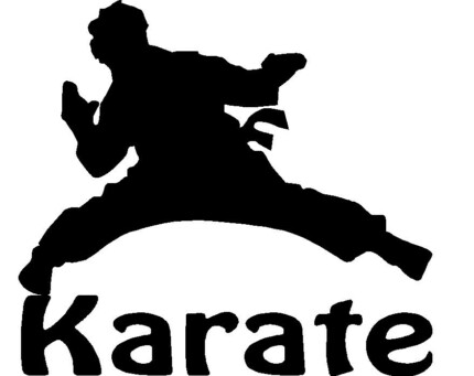 Karate Kid Decal