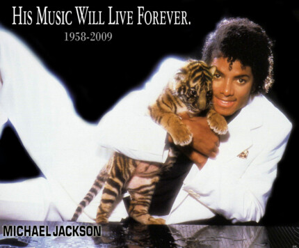 Michael Jackson Tiger Color Band Decal