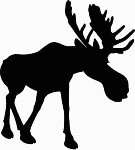 Moose Hunting Decal Sticker 2