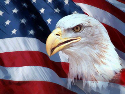 Patriotic Eagle Head with USA Flag Sticker