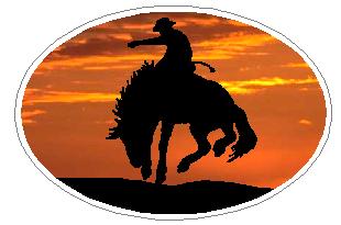 Oval Rodeo Cowboy Decal