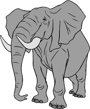 Elephant Decal Color