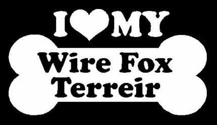 I Love My Wire Fox Terreir