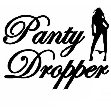 bitch-funny-Panty-Dropper-Adhesive-Funny-Car-Sticker CHICK DECAL