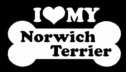 I Love My Norwich Terrier