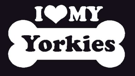 I Love My Yorkies