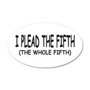 Plead the Fifth Oval Decal