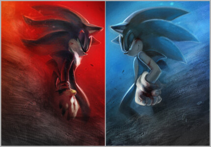 Shadow and Sonic sticker 66