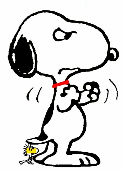 SNOOPY and Woodstock Peanuts Gang Sticker 16