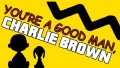 Your a GOOD MAN Charlie Brown Color Decal