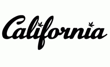 California-Leaf-Text-Die Cut Decals PAIR