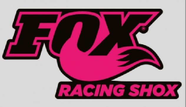 F Racing-Shox-Pink-Tall-Decal - Pro Sport Stickers