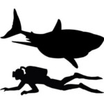 Funny Shark and Diver Sticker