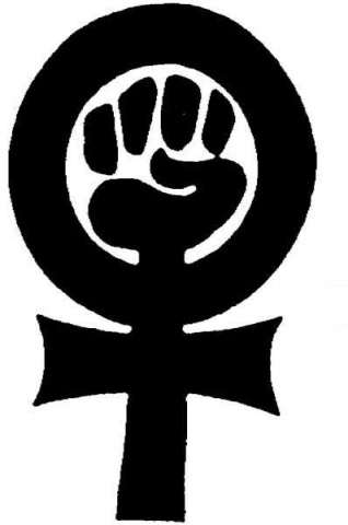 anarchy FEMINISM die cut decal
