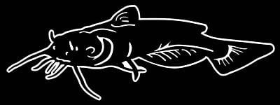 Catfish Vinyl Fishing Decal 2