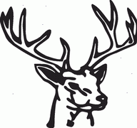 Deer Decal 04