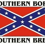 southern born southern bred confederate flag sticker