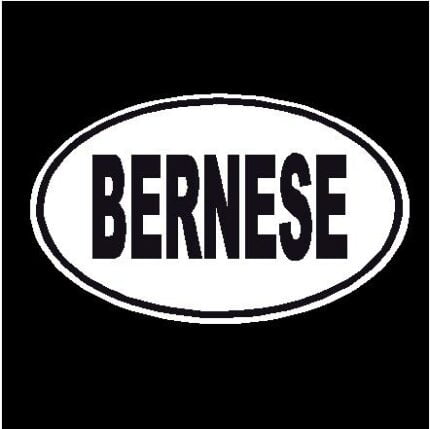Bernese Oval Dog Decal