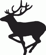 Deer Decal 10