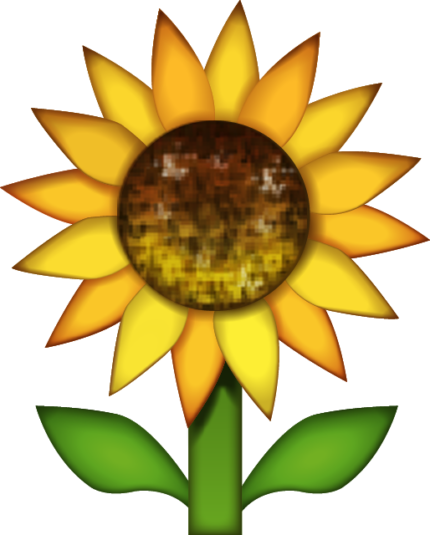 FLOWER Emoji_Sunflower