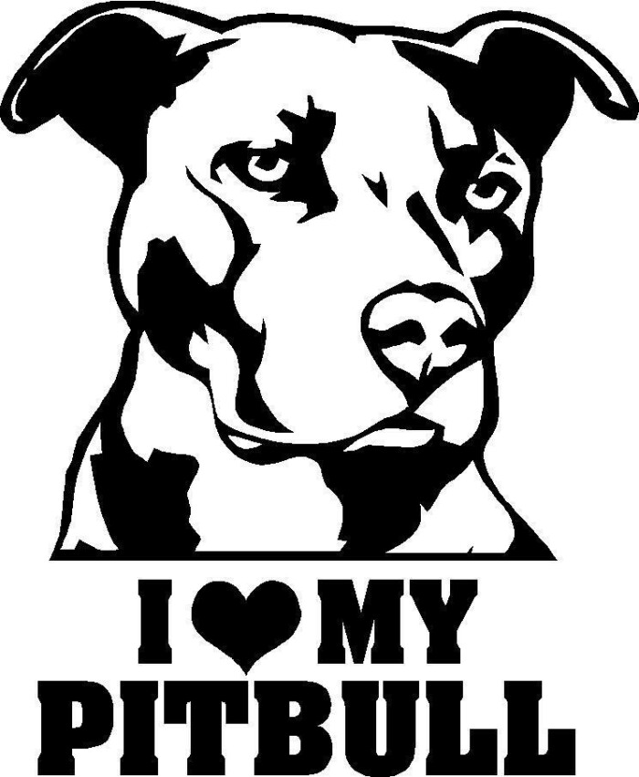 pitbull decal