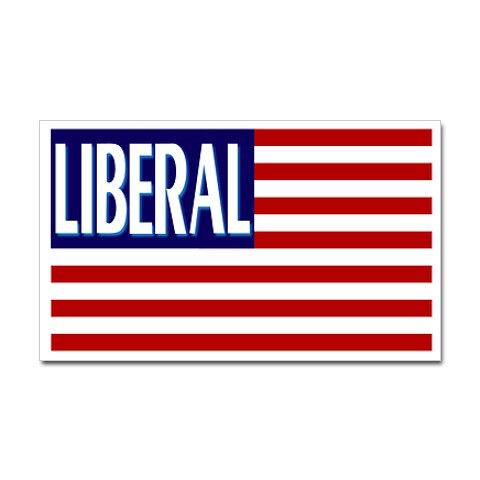 Liberal Flag Decal