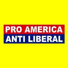 pro america anti liberal bumper sticker