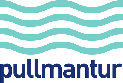 Pullmantur logo sticker