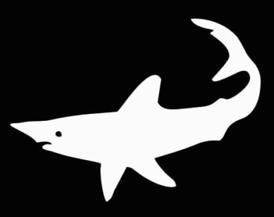 Shark Vinyl Hunting Sticker
