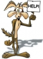 Wile E Coyote HELP Adhesive Vinyl Decal Sticker