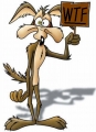 Wile E WTF Coyote Adhesive Vinyl Decal Sticker